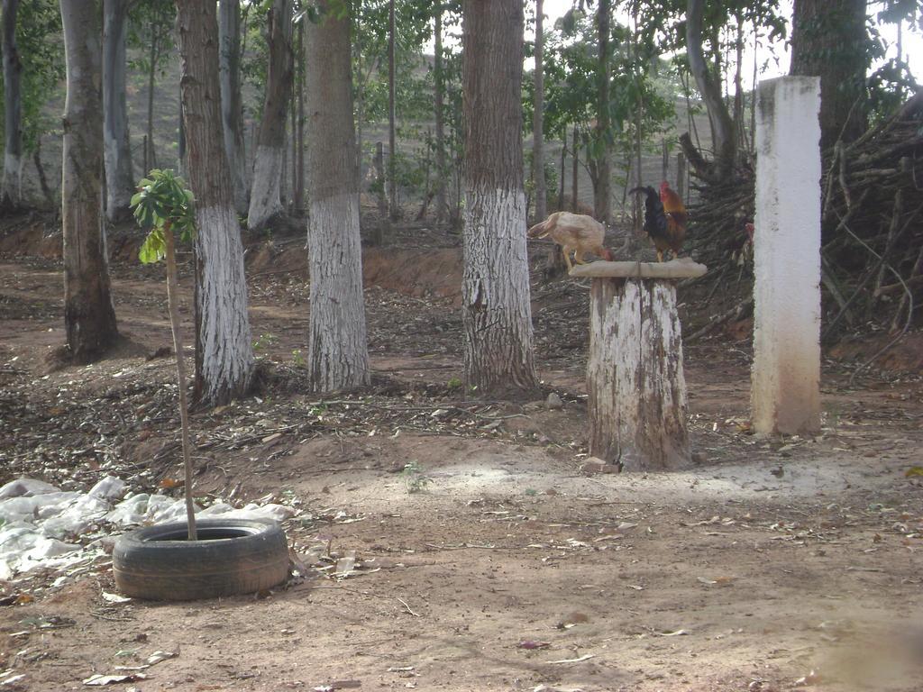 Pousada Dos Tucanos São Tomé das Letras Zewnętrze zdjęcie